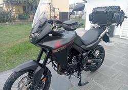 Honda Transalp XL750 (2023 - 24) usata