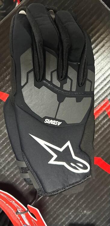 GUANTI DA MOTO INVERNALI Alpinestars