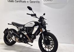 Ducati Scrambler 800 Icon (2023 - 24) usata