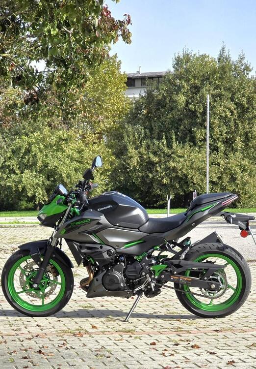 Kawasaki Z 500 SE (2024 - 25) (2)