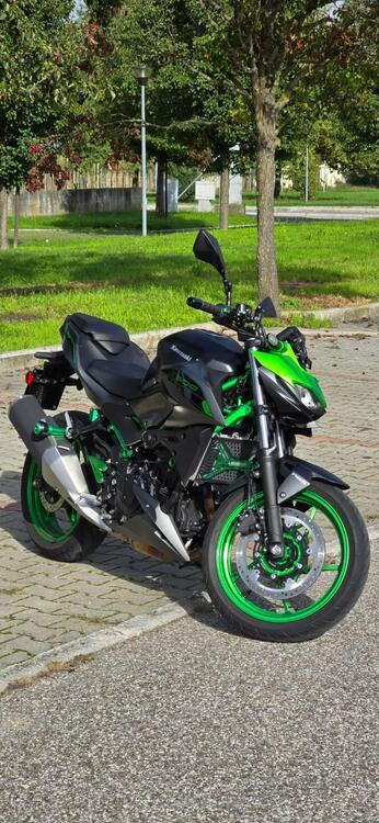 Kawasaki Z 500 SE (2024 - 25) (3)