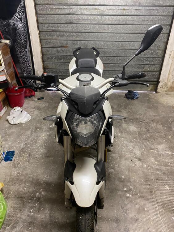 Benelli BN 125 (2021 - 24) (3)