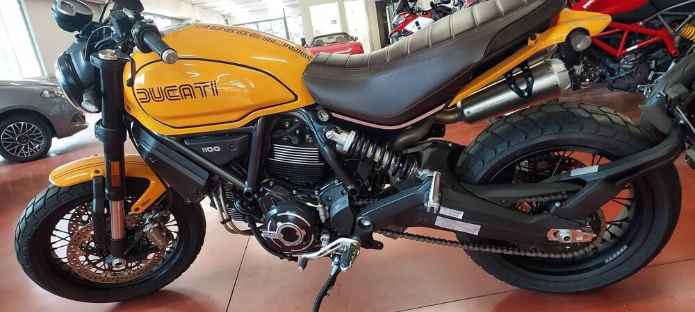 Ducati Scrambler 1100 Tribute Pro (2022 - 24)