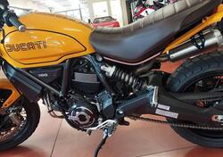 Ducati Scrambler 1100 Tribute Pro (2022 - 24) usata