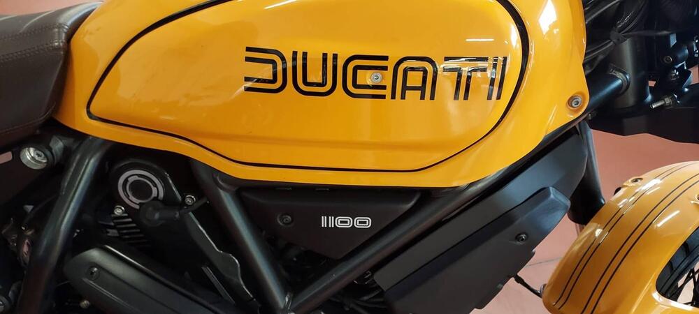 Ducati Scrambler 1100 Tribute Pro (2022 - 24) (5)