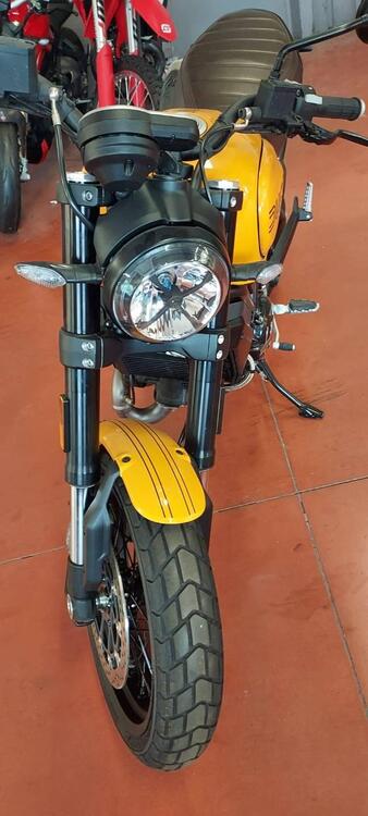 Ducati Scrambler 1100 Tribute Pro (2022 - 24) (2)