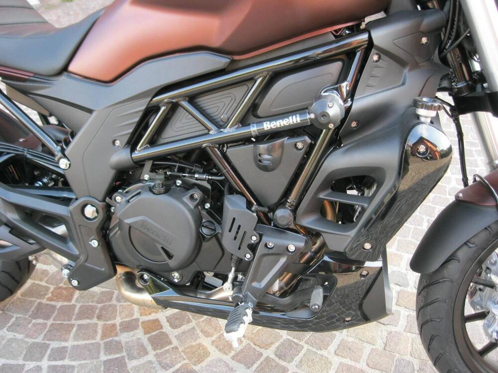 Benelli 502 C (2021 - 24) (2)