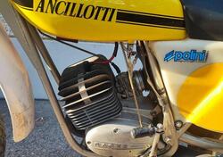 Ancillotti 50 re d'epoca