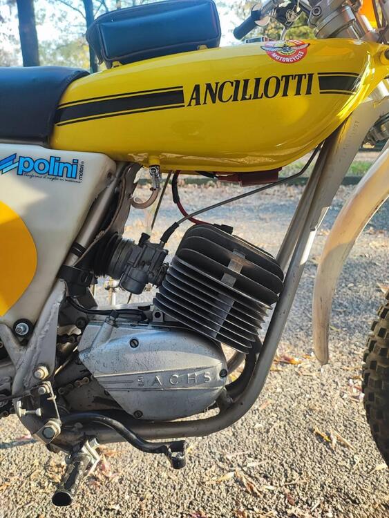 Ancillotti 50 re (2)