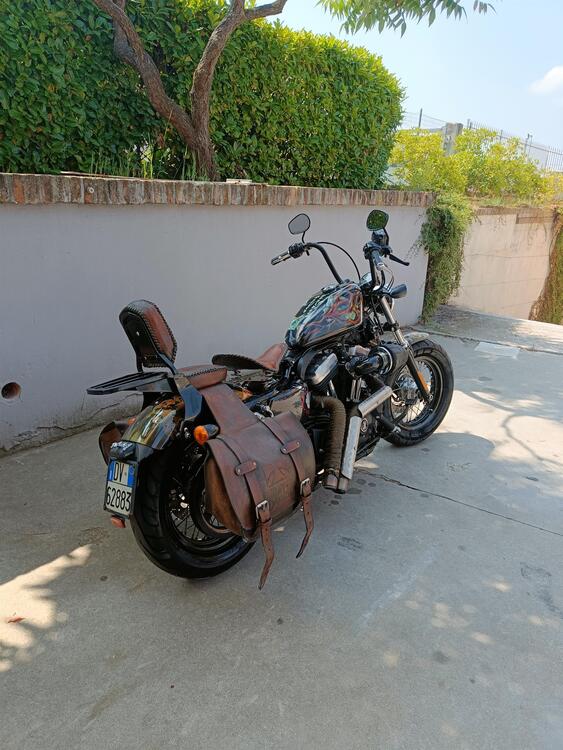 Harley-Davidson 1200 Forty-Eight (2010 - 15) (2)