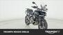 Triumph Tiger 1200 GT Pro (2022 - 23) (7)