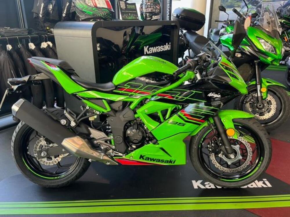 Kawasaki Ninja 125 (2021 - 25) (5)