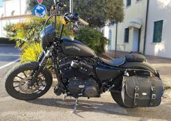 Harley-Davidson 883 Iron (2014 - 16) - XL 883N usata