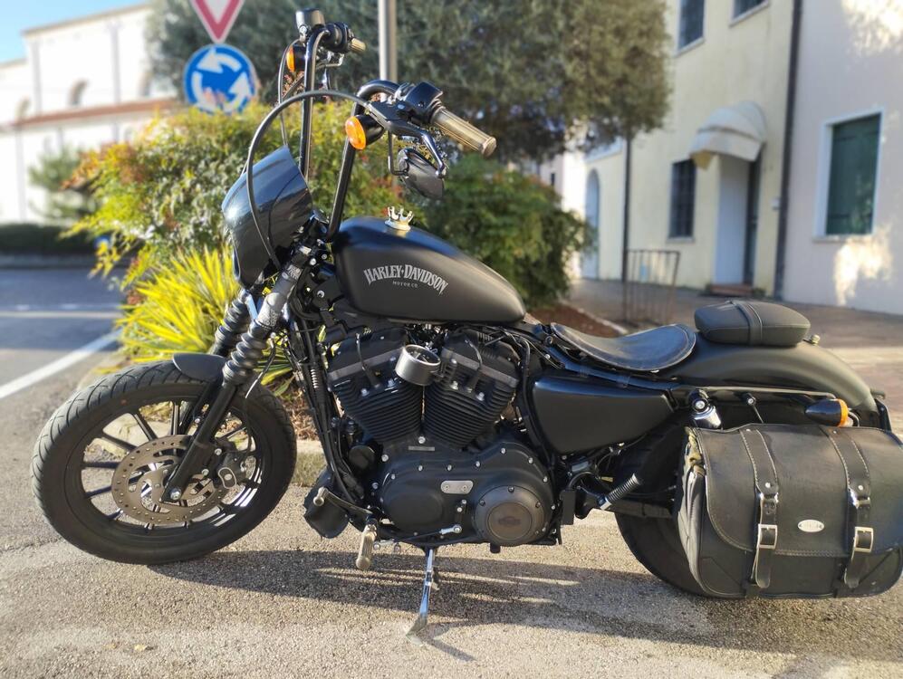 Harley-Davidson 883 Iron (2014 - 16) - XL 883N (2)