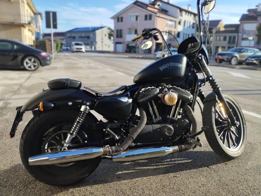 Harley-Davidson 883 Iron (2014 - 16) - XL 883N (3)