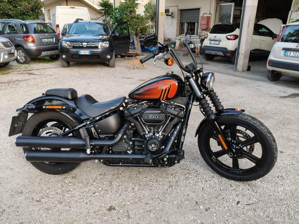 Harley-Davidson Street Bob 114 (2021 - 24)