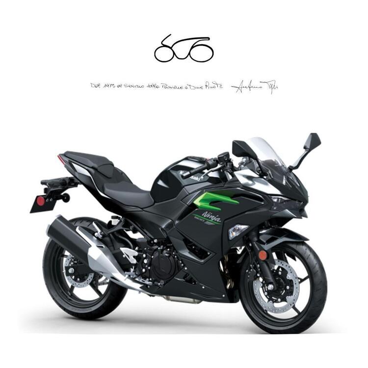 Kawasaki Ninja 500 (2024 - 25)