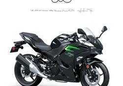 Kawasaki Ninja 500 (2024 - 25) nuova