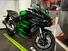 Kawasaki Ninja 1000 H2 SX SE (2023 - 25) (9)