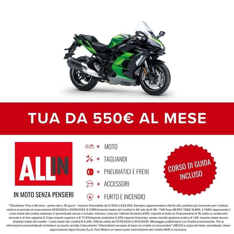 Kawasaki Ninja 1000 H2 SX SE (2023 - 25) (2)