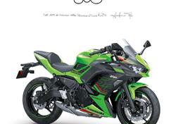 Kawasaki Ninja 650 (2021 - 25) nuova