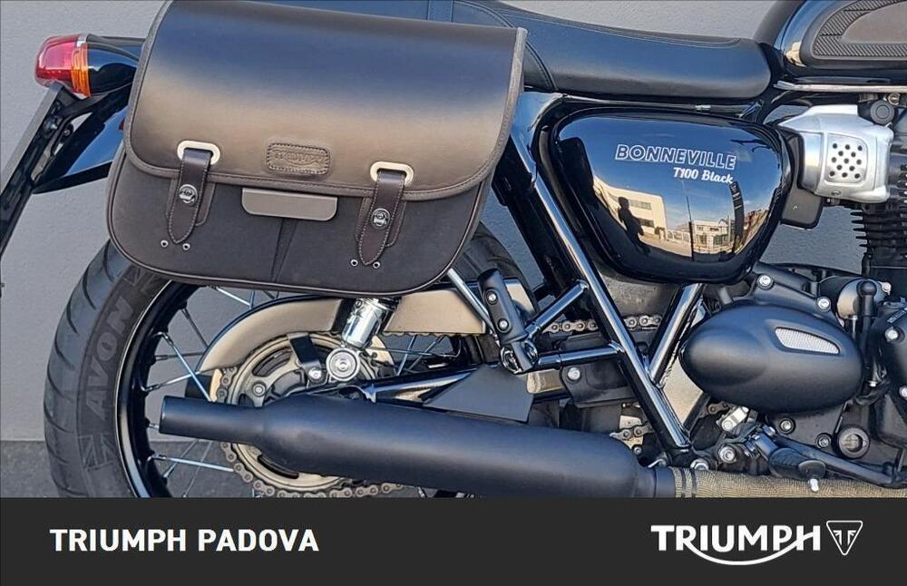 Triumph Bonneville T100 (2017 - 20) (2)