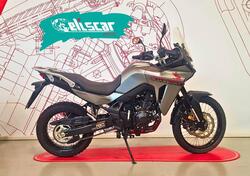 Honda Transalp XL750 (2023 - 24) usata