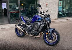 Yamaha MT-09 Y-AMT (2024 - 25) nuova