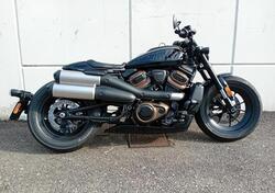 Harley-Davidson Sportster S (2022 - 24) usata