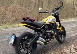 Ducati Scrambler 800 Icon (2021 - 22) usata