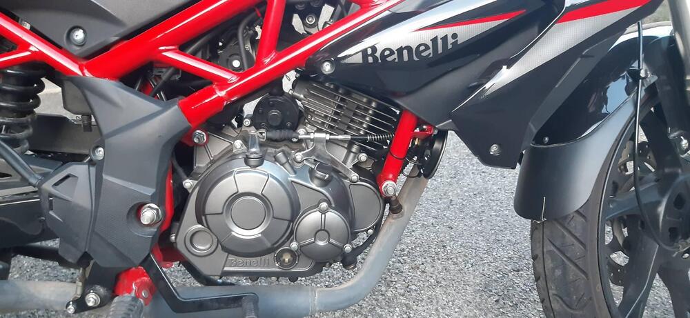 Benelli BN 125 (2021 - 24) (4)