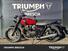 Triumph Speed Twin 900 (2023 - 24) (12)