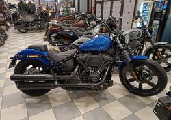 Harley-Davidson Street Bob 114 (2021 - 24) nuova