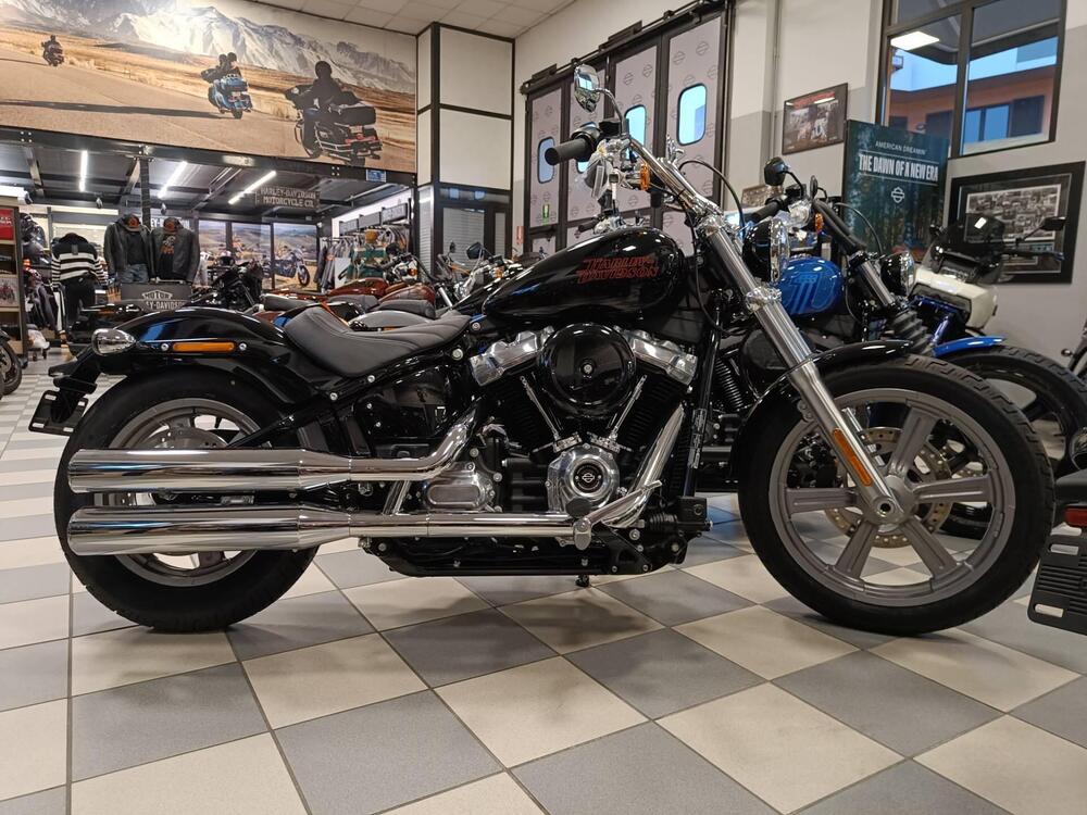 Harley-Davidson Softail Standard (2021 - 24)