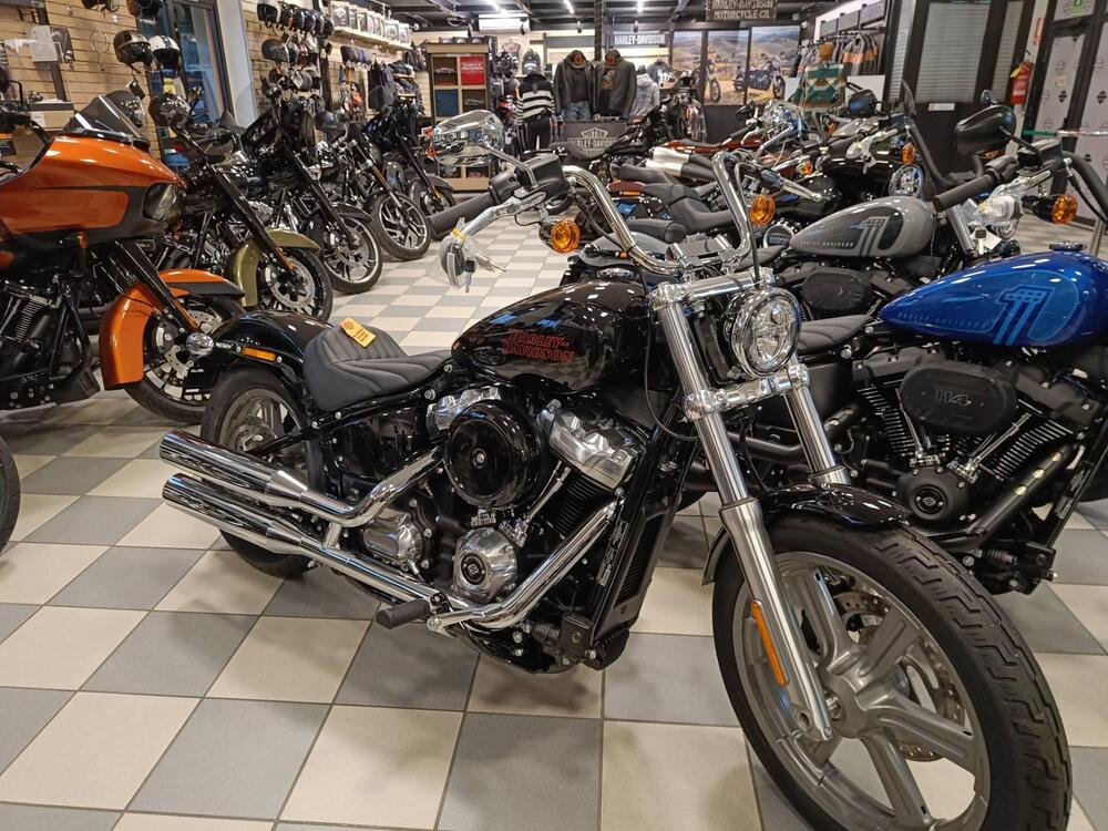 Harley-Davidson Softail Standard (2021 - 24) (2)