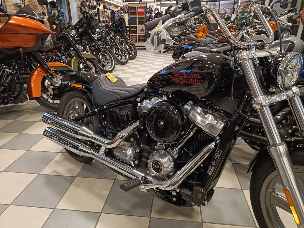 Harley-Davidson Softail Standard (2021 - 24) (3)