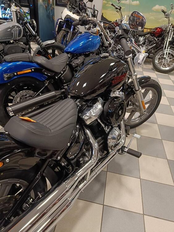 Harley-Davidson Softail Standard (2021 - 24) (5)