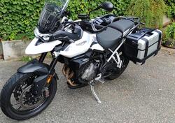 Triumph Tiger 900 GT Pro (2020 - 23) usata