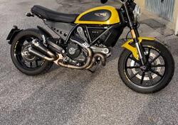 Ducati Scrambler 800 Icon (2017 - 20) usata