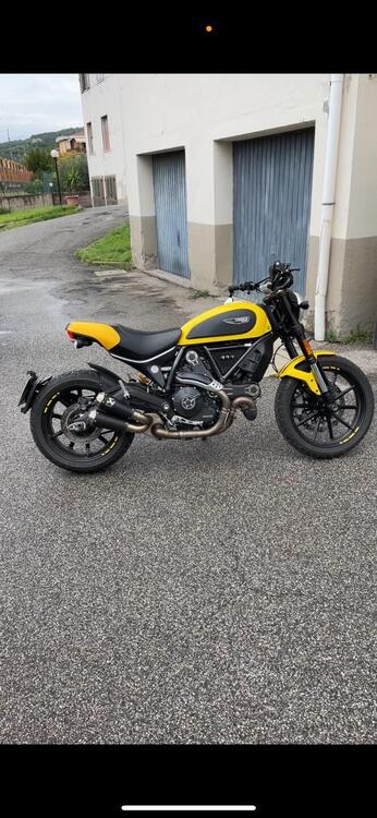 Ducati Scrambler 800 Icon (2017 - 20) (3)