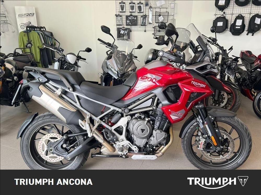 Triumph Tiger 1200 GT Pro (2024)