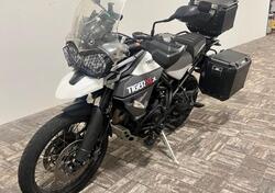 Triumph Tiger 800 XC (2015 - 17) usata