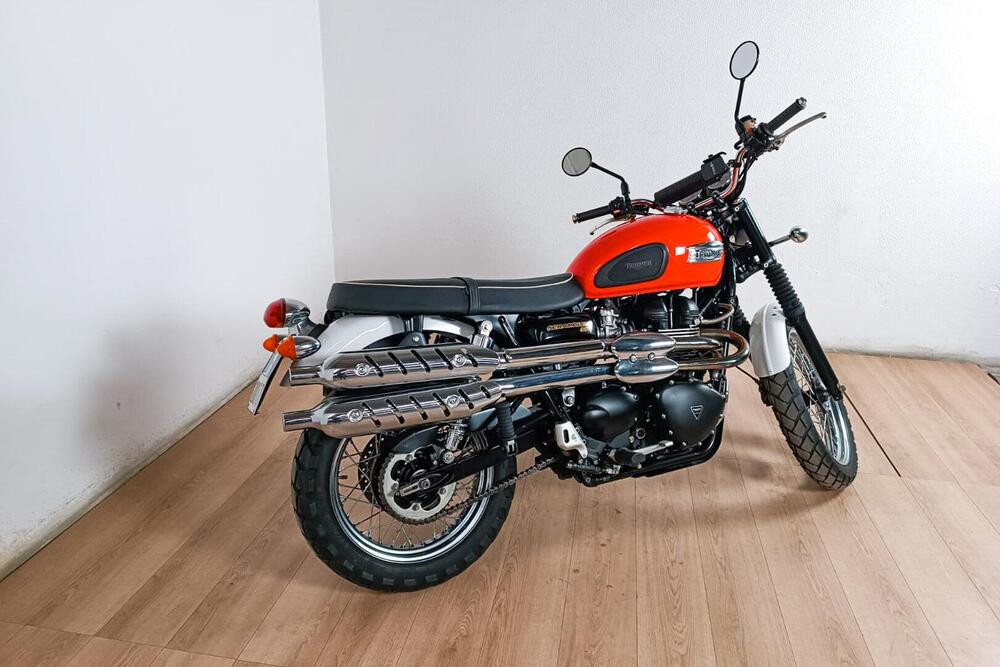 Triumph Scrambler 900 (2023 - 24) (3)