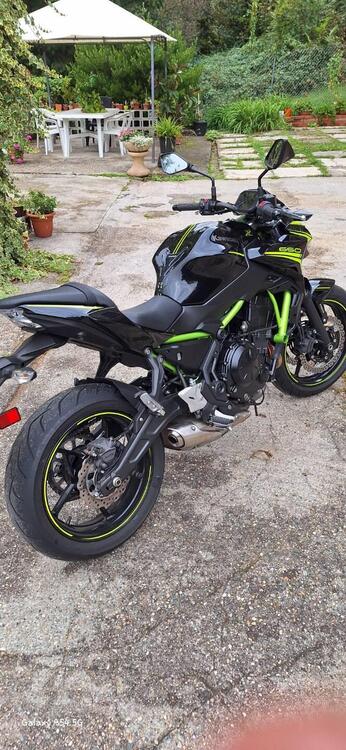 Kawasaki Z 650 Performance (2020) (3)