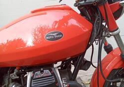 Moto Guzzi V 35 II (1981 - 86) usata