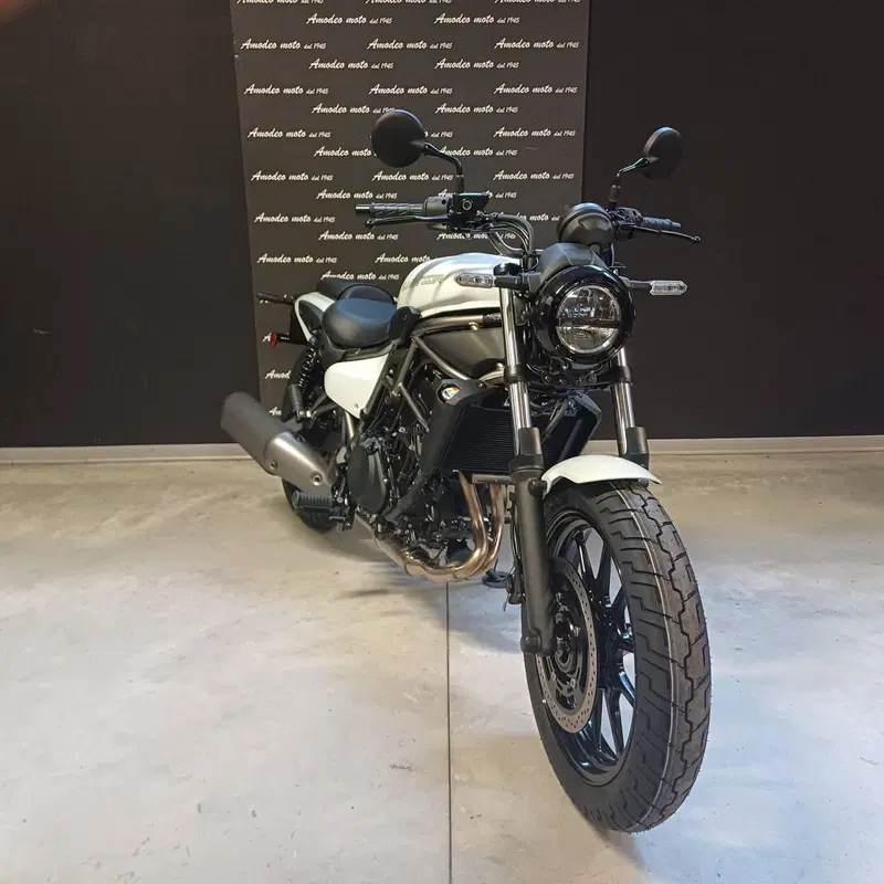 Kawasaki Eliminator 500 (2024 - 26) (10)