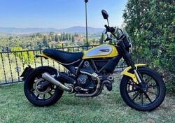 Ducati Scrambler 800 Icon (2015 - 16) usata