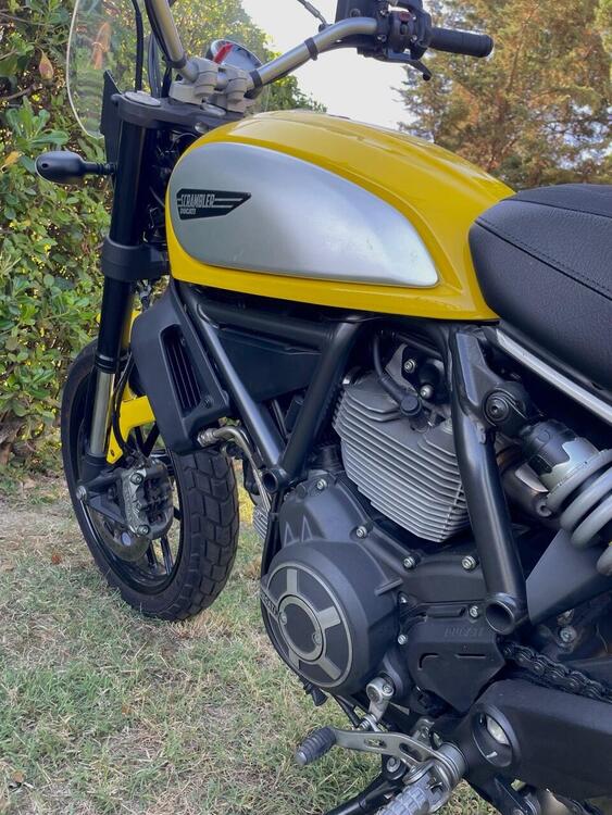 Ducati Scrambler 800 Icon (2015 - 16) (3)