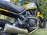 Ducati Scrambler 800 Icon (2015 - 16) (9)