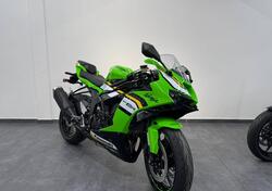 Kawasaki Ninja 636 ZX-6R (2024 - 25) nuova